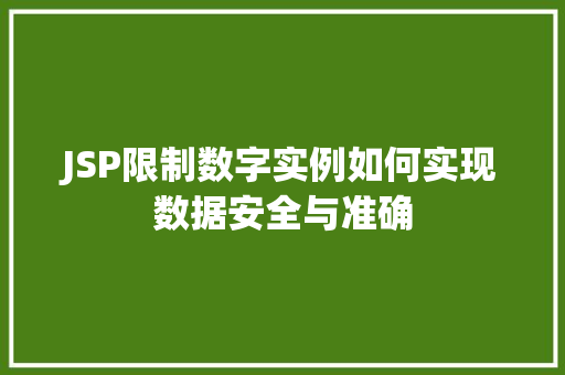 JSP限制数字实例如何实现数据安全与准确
