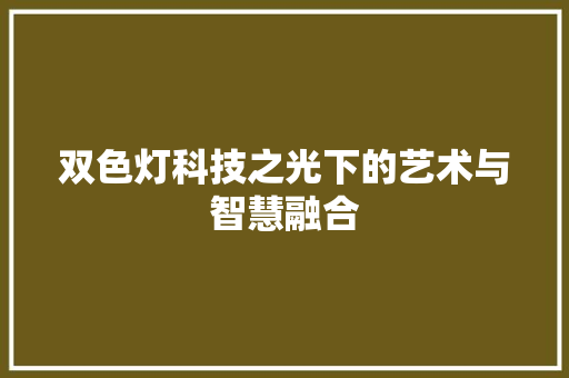 双色灯科技之光下的艺术与智慧融合