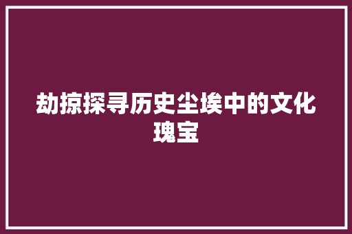 劫掠探寻历史尘埃中的文化瑰宝