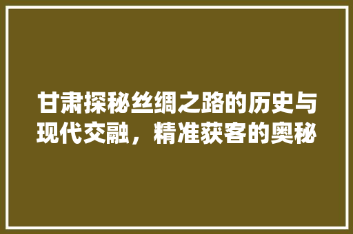 甘肃探秘丝绸之路的历史与现代交融，精准获客的奥秘_甘肃关键词优化精准获客