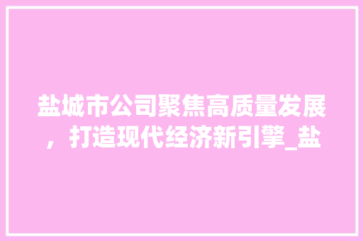 盐城市公司聚焦高质量发展，打造现代经济新引擎_盐城市公司关键词优化