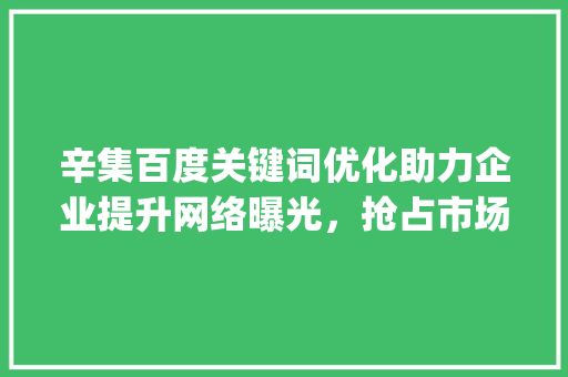 辛集百度关键词优化助力企业提升网络曝光，抢占市场先机_辛集百度关键词优化