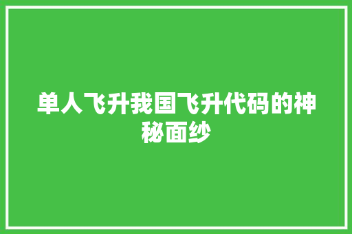 单人飞升我国飞升代码的神秘面纱