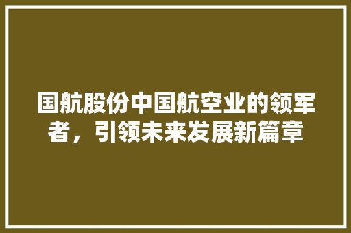 国航股份中国航空业的领军者，引领未来发展新篇章