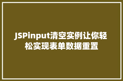 JSPinput清空实例让你轻松实现表单数据重置