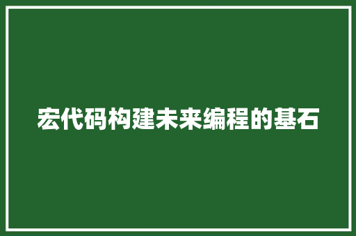 宏代码构建未来编程的基石