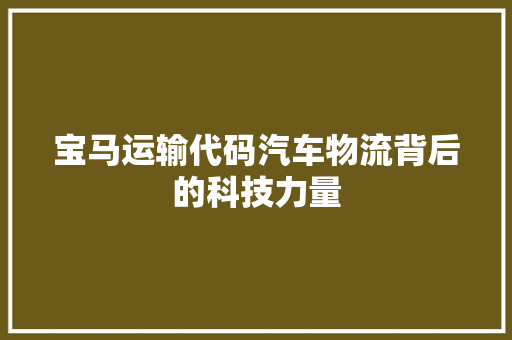 宝马运输代码汽车物流背后的科技力量  第1张