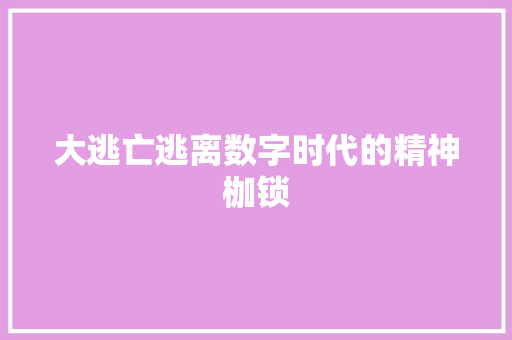 大逃亡逃离数字时代的精神枷锁