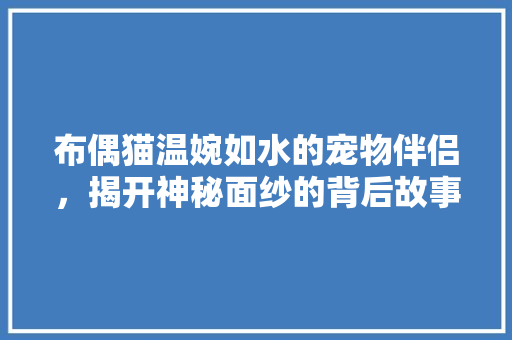 布偶猫温婉如水的宠物伴侣，揭开神秘面纱的背后故事  第1张