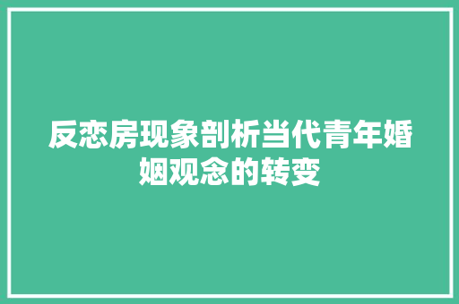 反恋房现象剖析当代青年婚姻观念的转变  第1张
