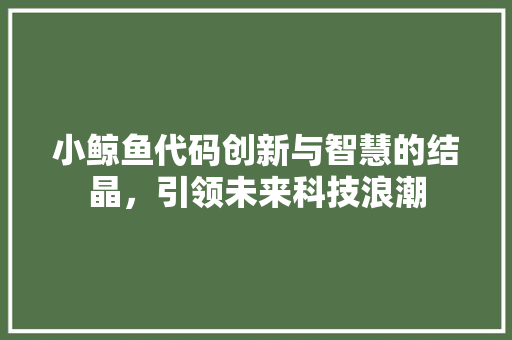 小鲸鱼代码创新与智慧的结晶，引领未来科技浪潮