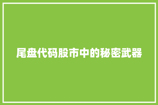 尾盘代码股市中的秘密武器