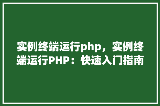实例终端运行php，实例终端运行PHP：快速入门指南  第1张