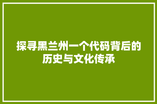 探寻黑兰州一个代码背后的历史与文化传承  第1张
