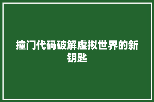 撞门代码破解虚拟世界的新钥匙  第1张
