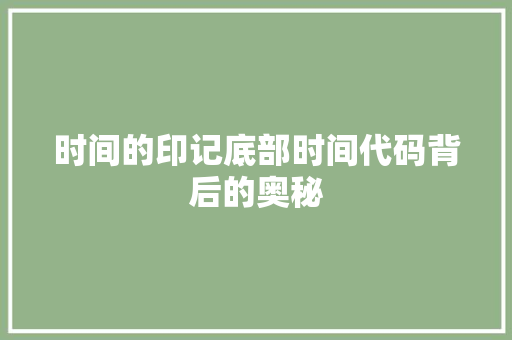 时间的印记底部时间代码背后的奥秘
