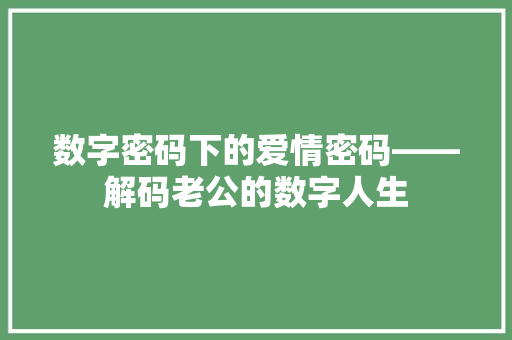 数字密码下的爱情密码——解码老公的数字人生