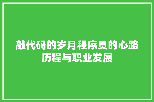 敲代码的岁月程序员的心路历程与职业发展  第1张