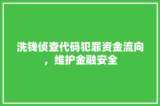 洗钱侦查代码犯罪资金流向，维护金融安全