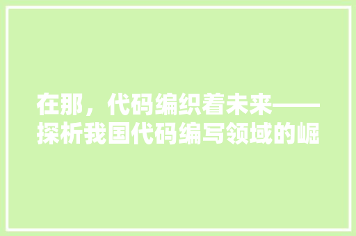 在那，代码编织着未来——探析我国代码编写领域的崛起与发展