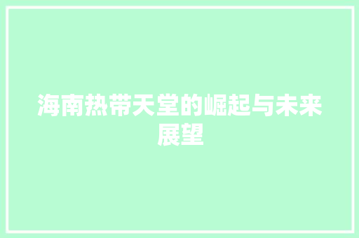 海南热带天堂的崛起与未来展望