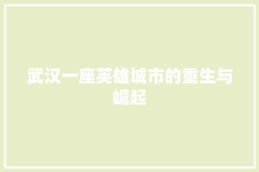 武汉一座英雄城市的重生与崛起