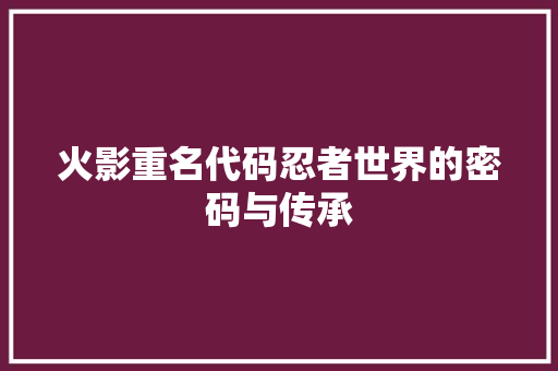 火影重名代码忍者世界的密码与传承