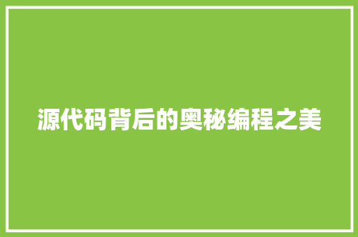 源代码背后的奥秘编程之美