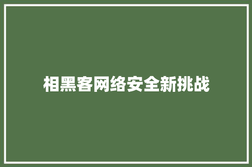相黑客网络安全新挑战
