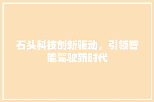 石头科技创新驱动，引领智能驾驶新时代