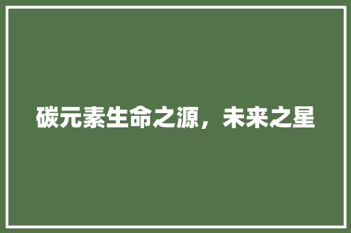 碳元素生命之源，未来之星