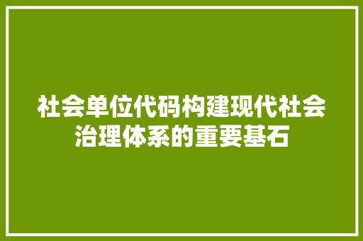 社会单位代码构建现代社会治理体系的重要基石