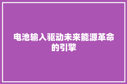 电池输入驱动未来能源革命的引擎