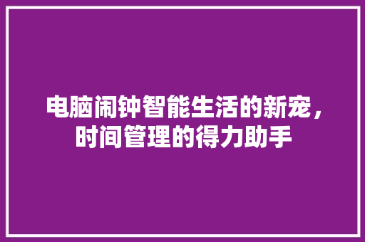 电脑闹钟智能生活的新宠，时间管理的得力助手