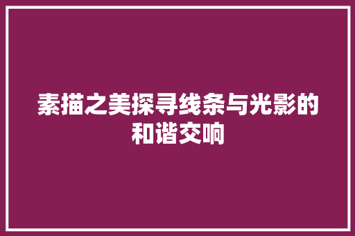 素描之美探寻线条与光影的和谐交响