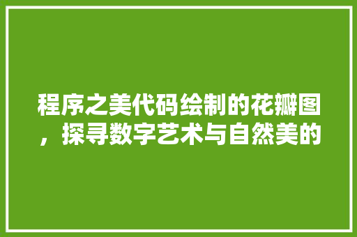 程序之美代码绘制的花瓣图，探寻数字艺术与自然美的交融