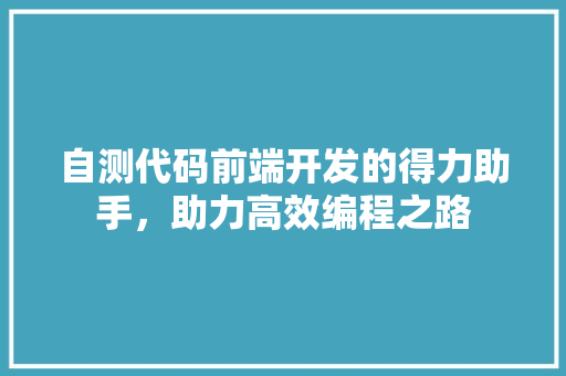自测代码前端开发的得力助手，助力高效编程之路