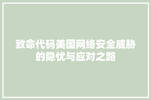 致命代码美国网络安全威胁的隐忧与应对之路