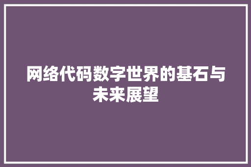网络代码数字世界的基石与未来展望