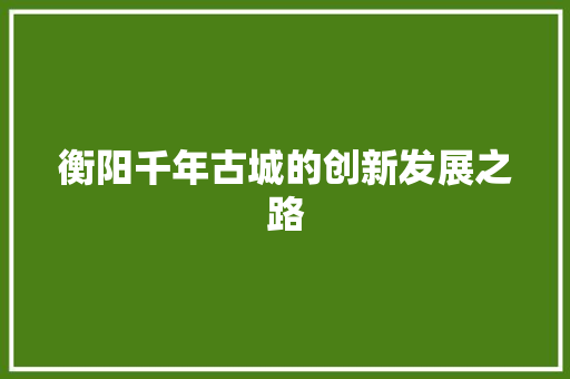 衡阳千年古城的创新发展之路  第1张