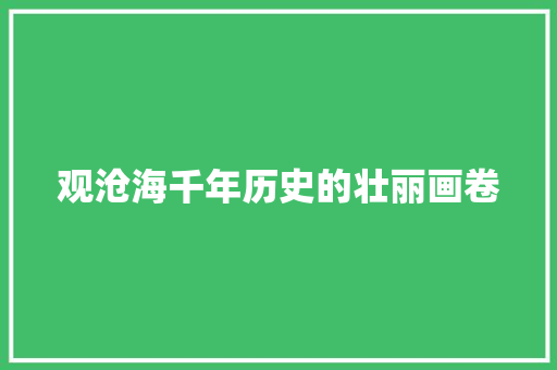 观沧海千年历史的壮丽画卷