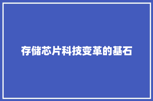 存储芯片科技变革的基石