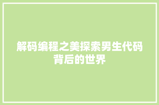 解码编程之美探索男生代码背后的世界