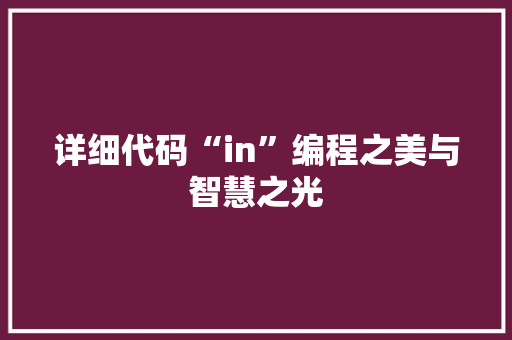 详细代码“in”编程之美与智慧之光