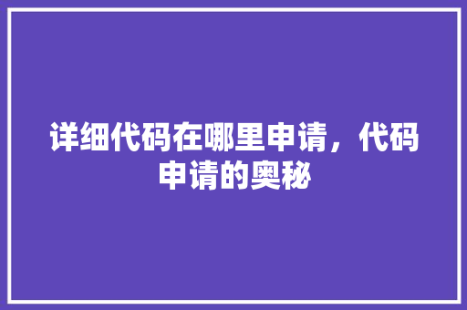 详细代码在哪里申请，代码申请的奥秘