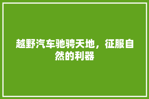越野汽车驰骋天地，征服自然的利器