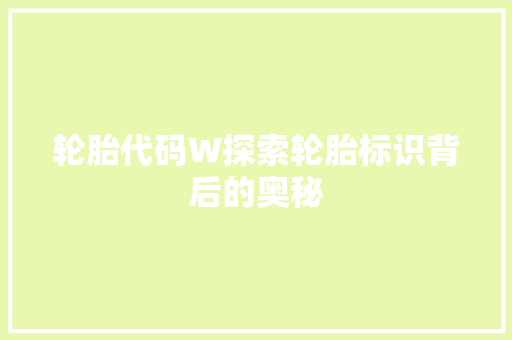 轮胎代码W探索轮胎标识背后的奥秘