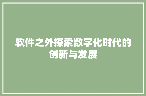 软件之外探索数字化时代的创新与发展