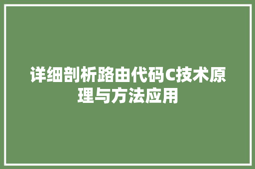 详细剖析路由代码C技术原理与方法应用  第1张