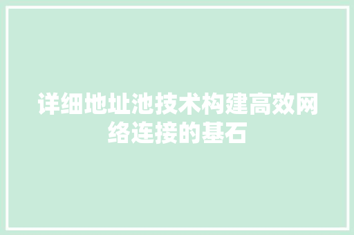 详细地址池技术构建高效网络连接的基石